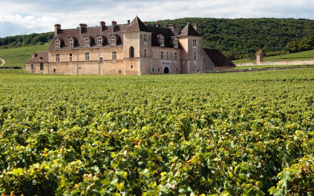 Wine tourism Bordeaux